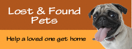 Lost and found pets